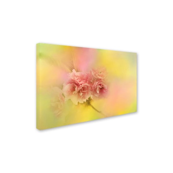 Jai Johnson 'Spring Cherry Blossoms' Canvas Art,30x47